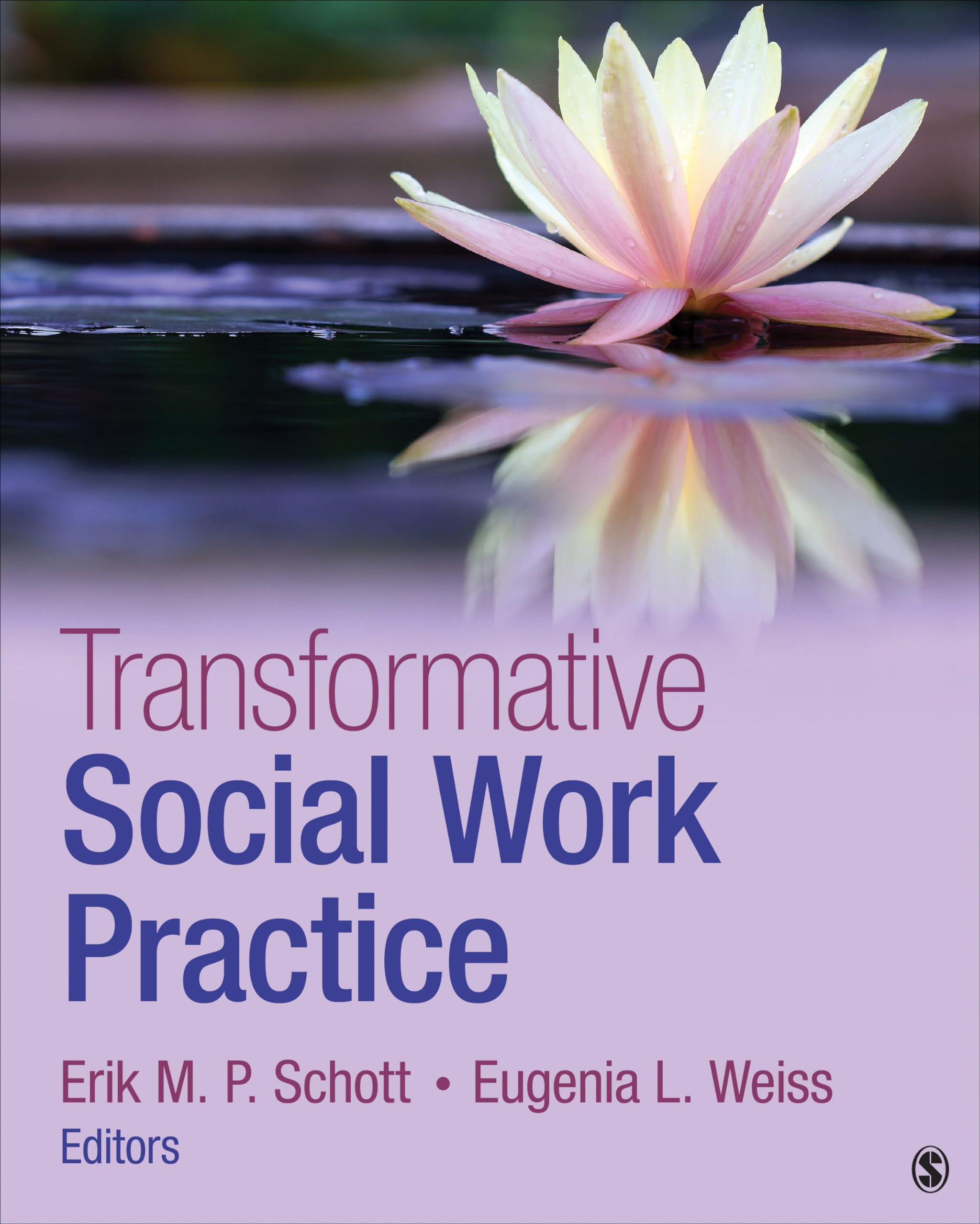 Transformative Social Work Practice: Empowering Change & Growth | Professional Development & Clinical Training for Social Workers | Ideal for Therapy, Counseling & Community Support