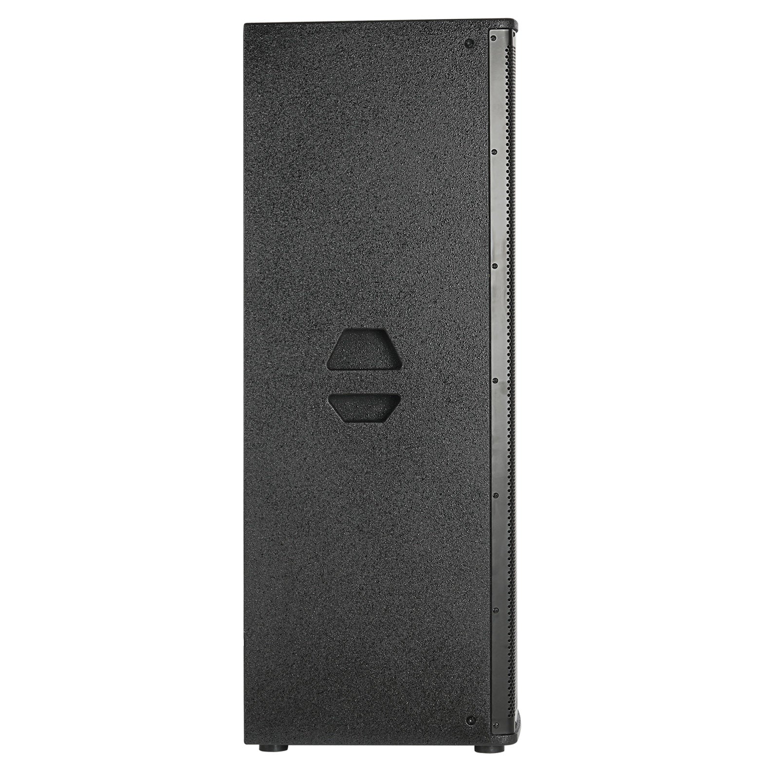 Professional 2-Way Passive Loudspeaker DJAK P215 D3 - High-Quality Audio for DJ Performances, Live Events & Home Theater Systems