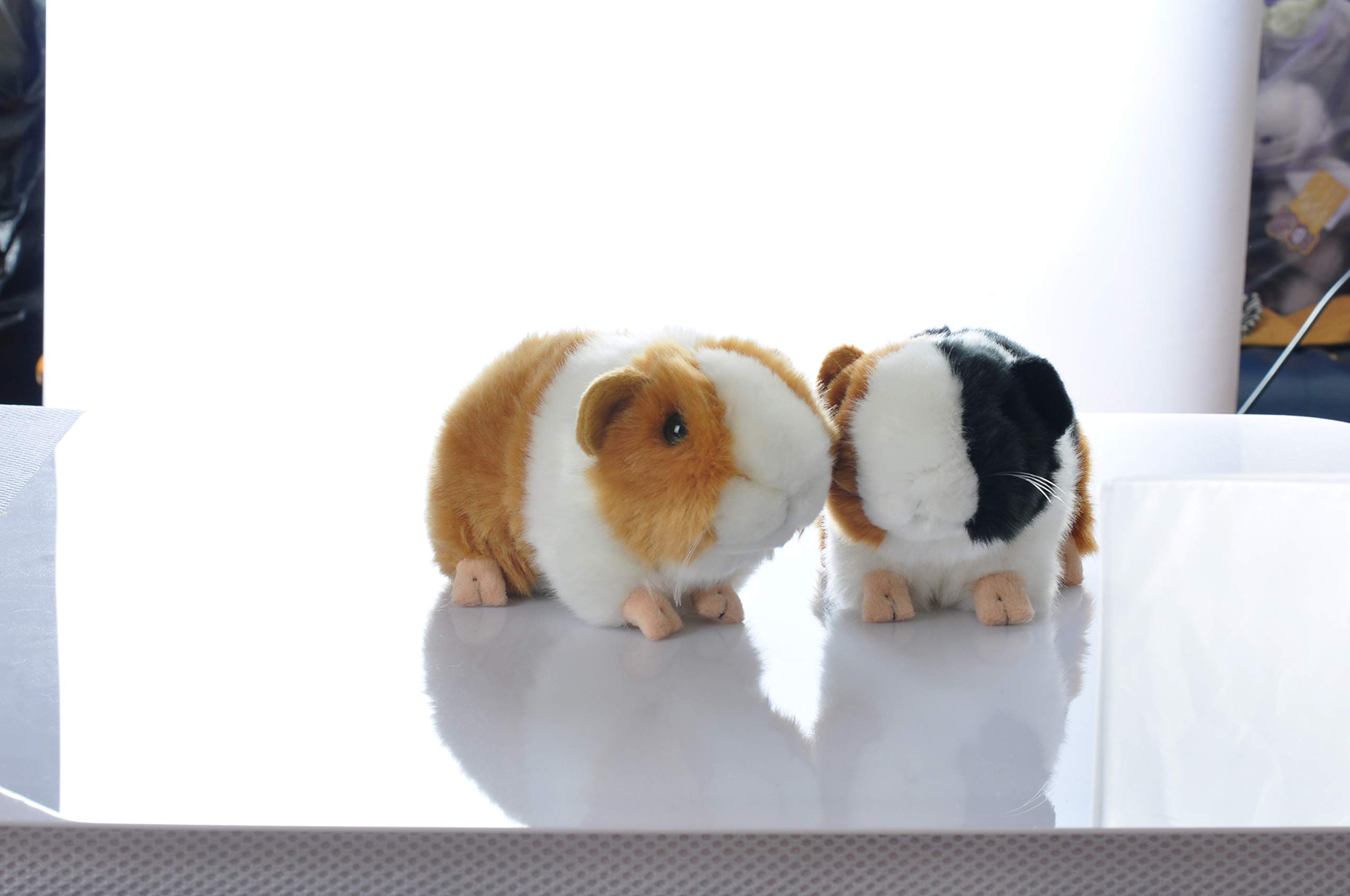 8 Inch Cute Rabbit Guinea Pig Plush Toy - Soft Stuffed Animal Doll for Kids (Black & Orange) | Perfect Gift for Birthdays, Nursery Decor, and Cuddling