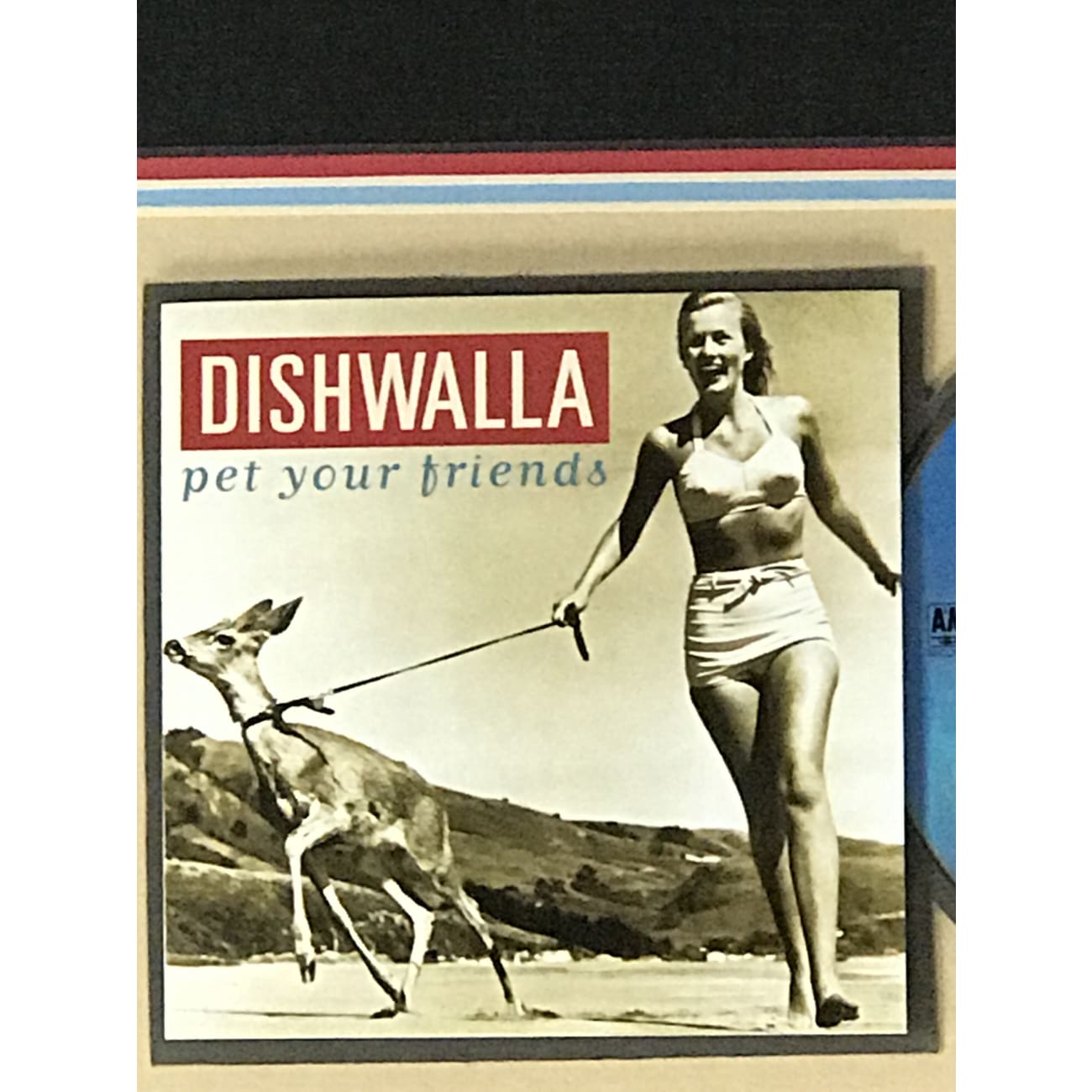 Dishwalla Pet Your Friends A&M Label Award-Winning Music Album - Perfect for Home Listening, Road Trips & Gift Giving
