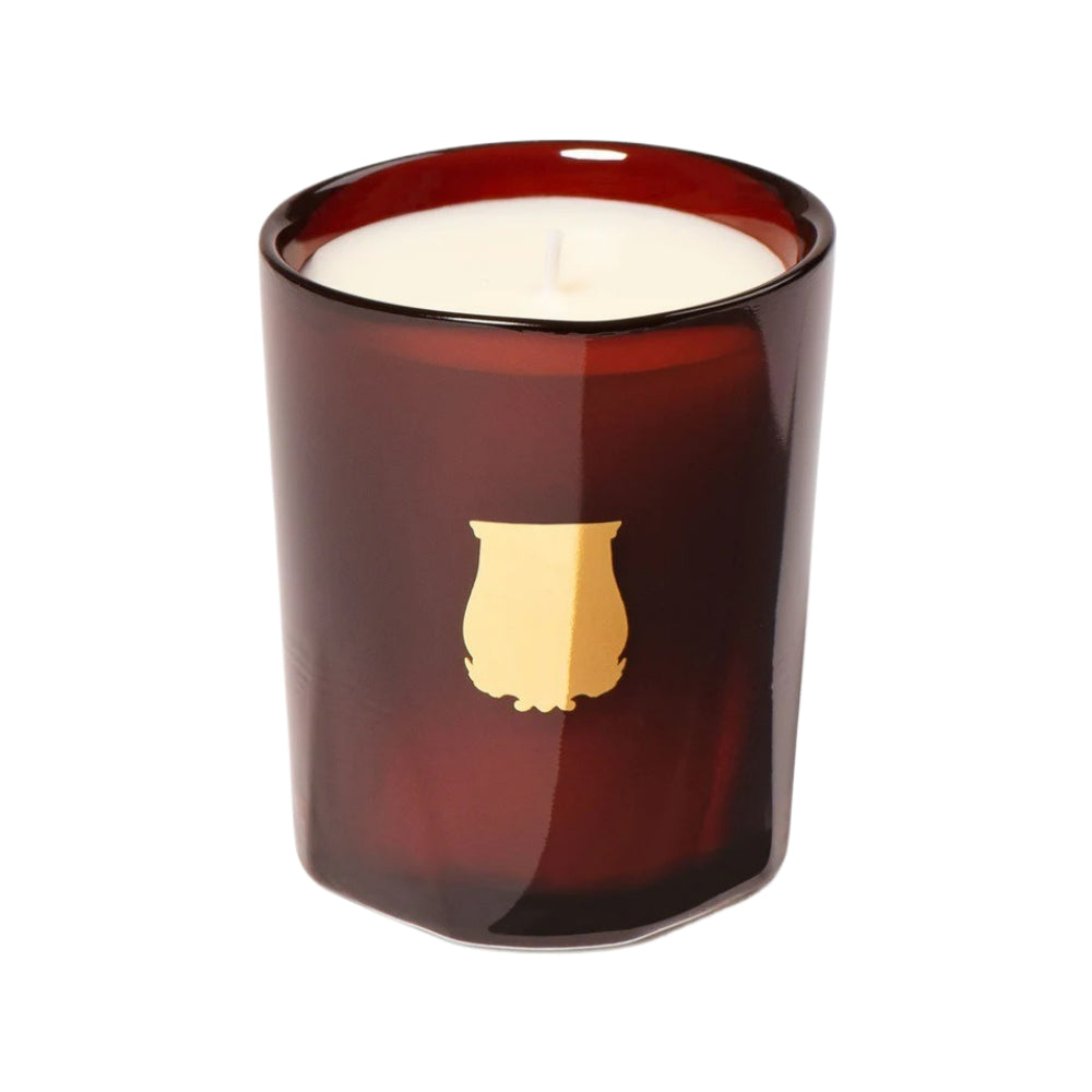 Premium Cire Trudon Petite Scented Candle 70g - Luxury Home Fragrance for Relaxation & Aromatherapy