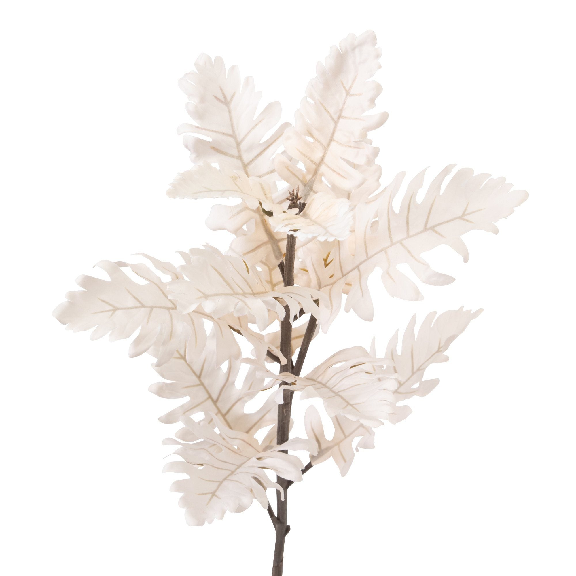 Beautiful Ivory Cineraria Artificial Flowers - Perfect for Home Decor, Wedding Bouquets, and Floral Arrangements