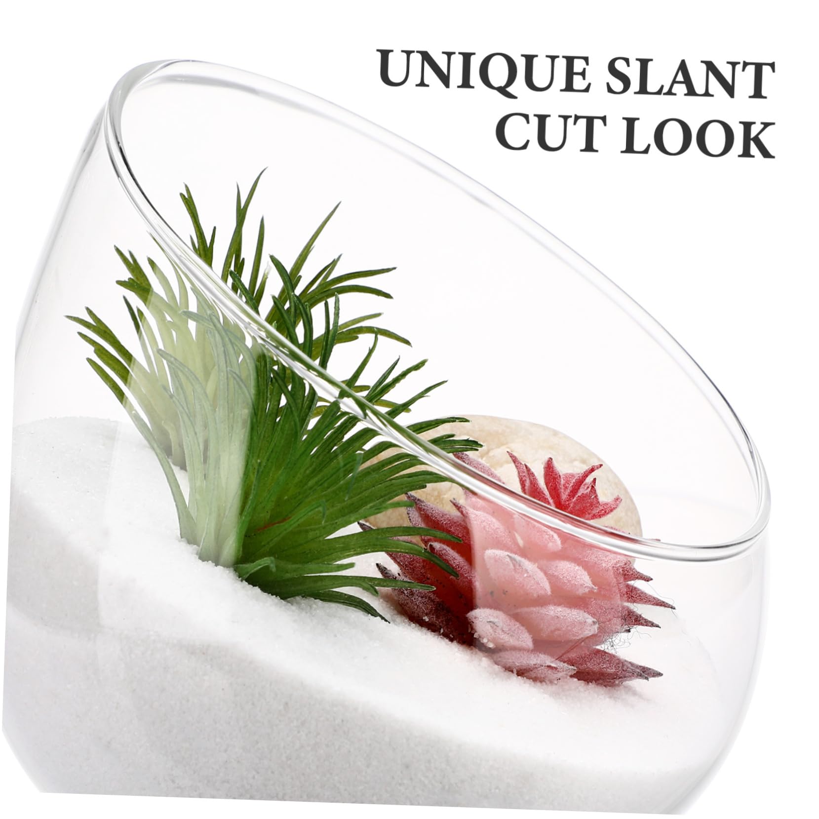 DOITOOL Slanted Glass Terrarium Bowl - Clear Plant Terrarium for Succulents, Air Plants & Micro Landscapes | Ecological Bottle Vase for Home Decor, Office Desk & Gift Ideas | Transparent Glass Bubble Bowl for DIY Mini Garden Projects