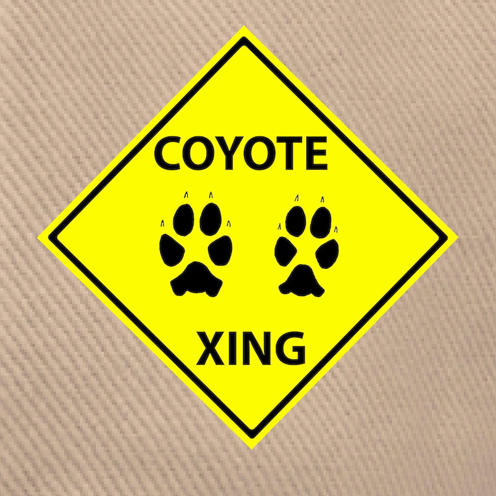 Coyote Crossing Adjustable Baseball Cap for Outdoor Adventures