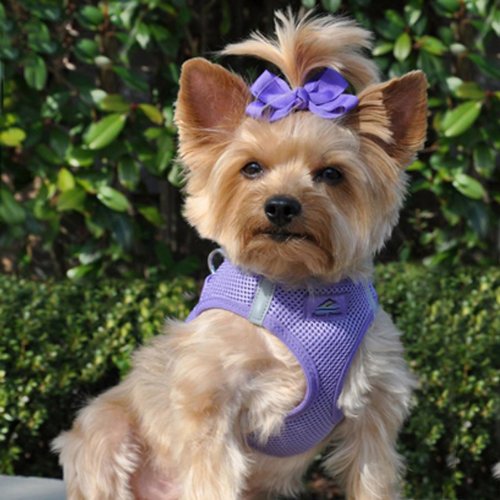 Doggie Design No Choke Dog Harness - Breathable Mesh Polyester Pet Vest with Easy Step-in Design for Small Medium Large Dogs - Paisley Purple XL - Perfect for Walking, Training & Outdoor Adventures