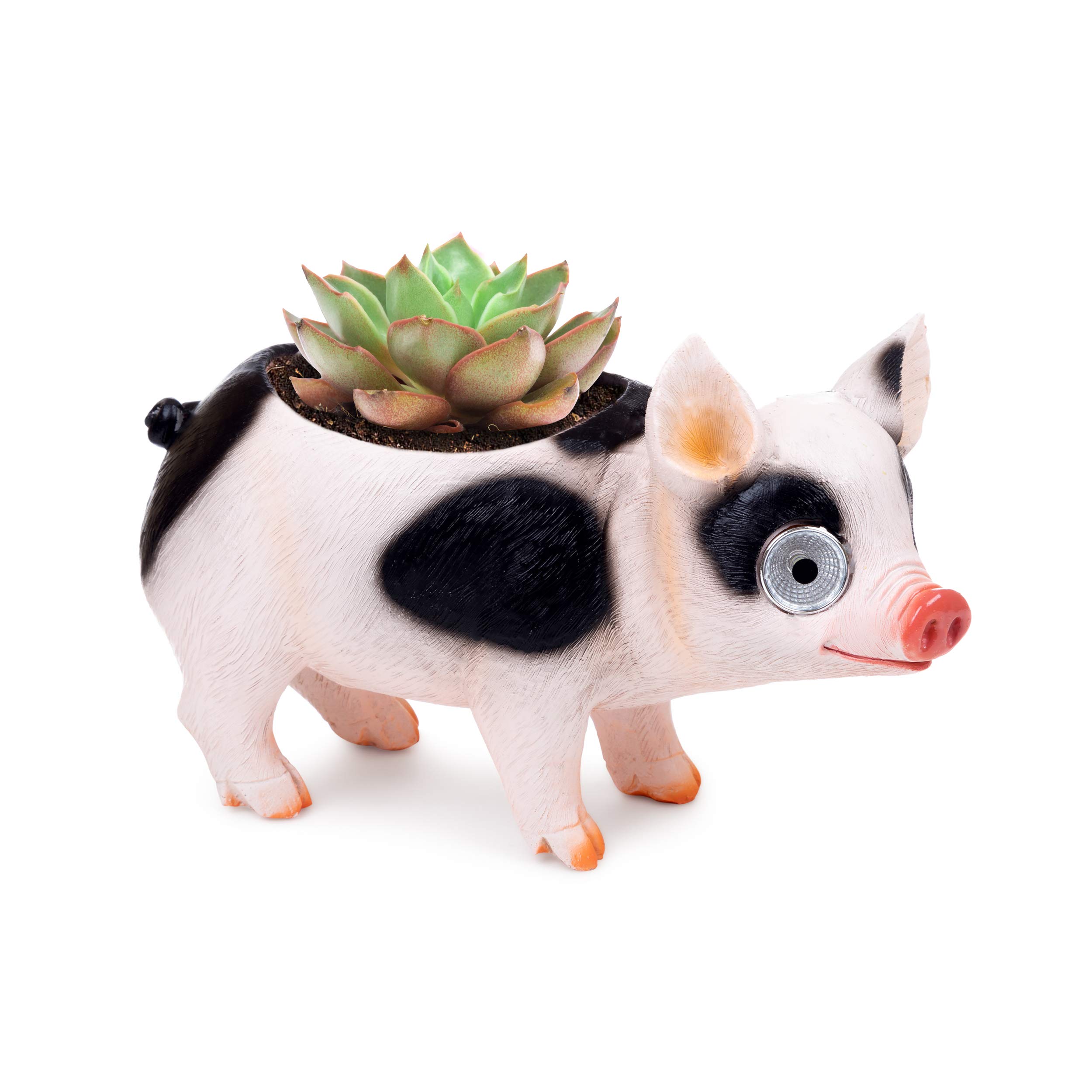 Blazin' Pig Flower Pot - Solar LED Animal Succulent Planter for Indoor/Outdoor Garden Decor - Perfect for Yard, Patio, Windowsill or Deck - Auto On/Off - Unique Gardening Gift Idea (Black) - Ideal for Home Decor, Wedding Favors & Birthday Presents