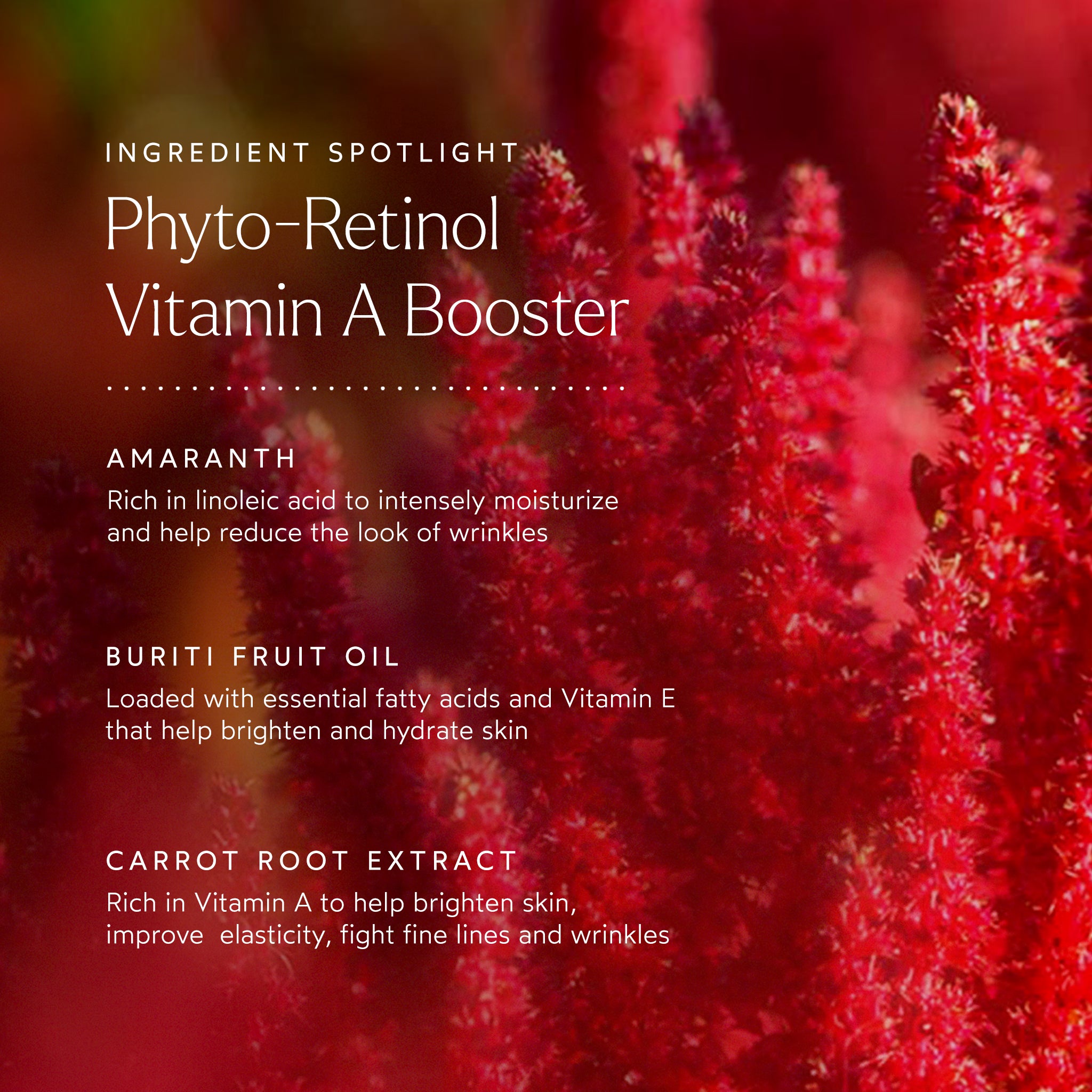 Phyto Retinol Vitamin A Booster Serum for Anti-Aging & Wrinkle Reduction | Natural Skincare Treatment for Face & Neck | Perfect for Night Routine & Dry Skin Care