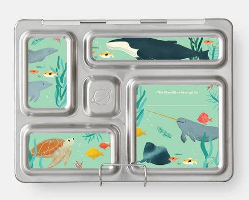 PlanetBox Rover Stainless Steel Bento Lunch Box for Kids & Adults | Eco-Friendly Reusable Food Container | Perfect for School, Work, Picnics & Travel