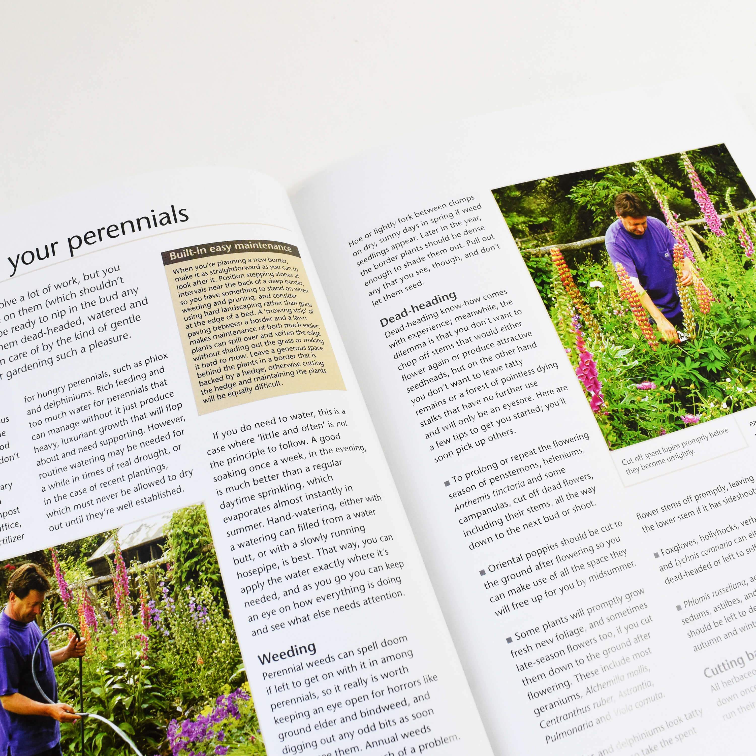 Alan Titchmarsh How to Garden: Perennial Garden Plants Paperback Book - Essential Guide for Flowering Plants Care & Maintenance | Perfect for Home Gardeners & Landscaping Enthusiasts