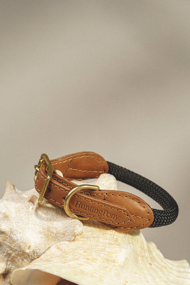 Premium Makarony Dark Rope Dog Leash and Ginger Collar Set - Durable Walking Kit for Small to Medium Dogs | Perfect for Daily Walks, Training, and Outdoor Adventures