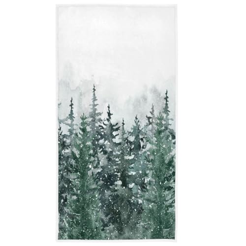 Winter Forest