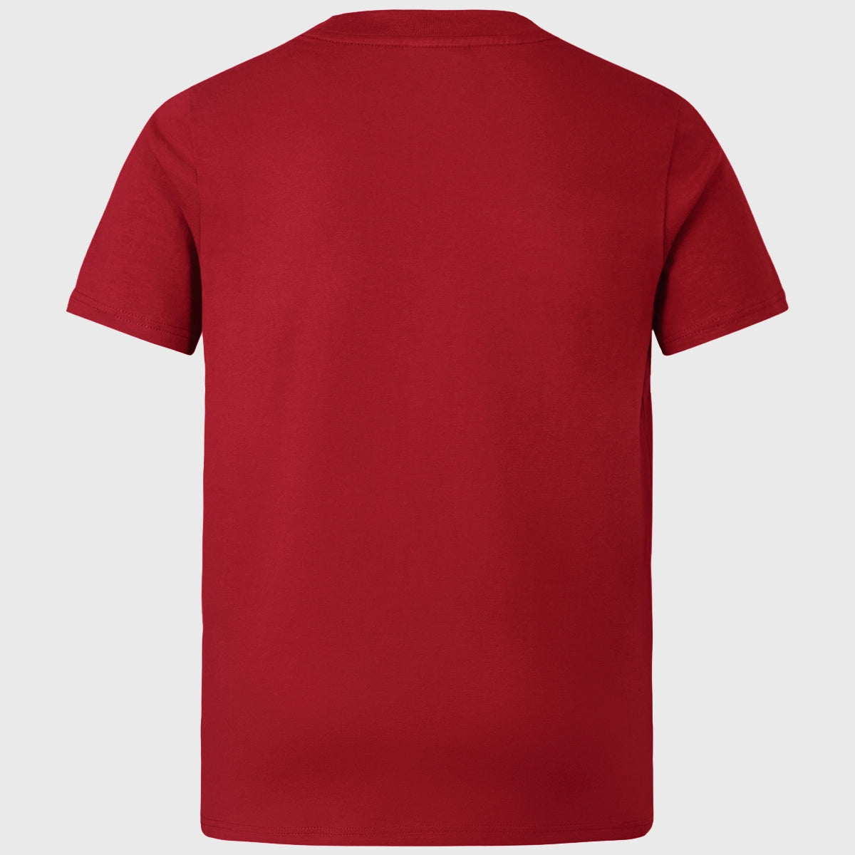 British & Irish Lions Kids Cotton T-Shirt - Red Canterbury Rugby Jersey for Boys & Girls - Perfect for Sports, School & Casual Wear