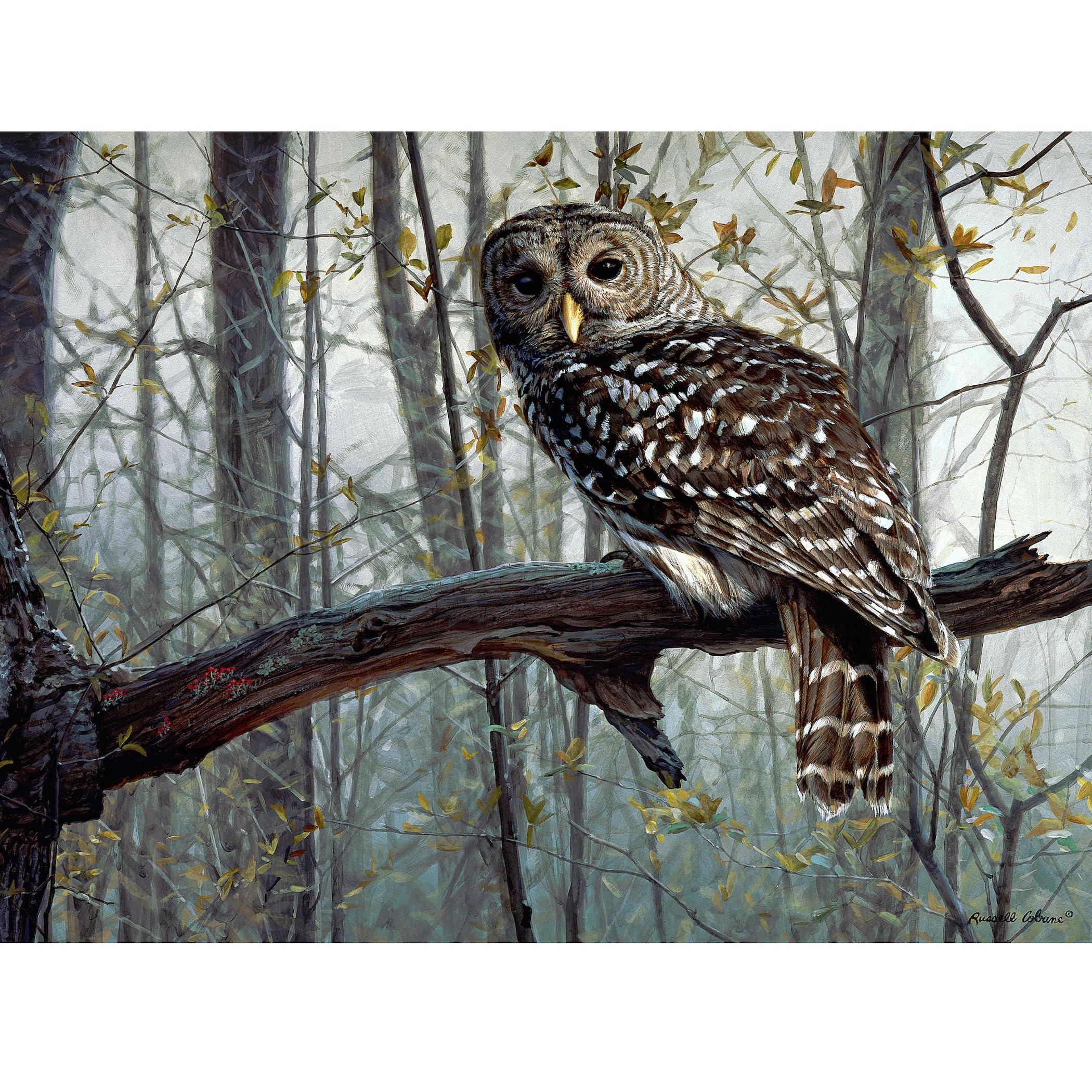 1000 Piece Jigsaw Puzzle - Spirit of The Forest Owl in Tree Puzzle for Adults & Kids | Challenging Family Game Night Activity, Home Decor & Stress Relief Gift