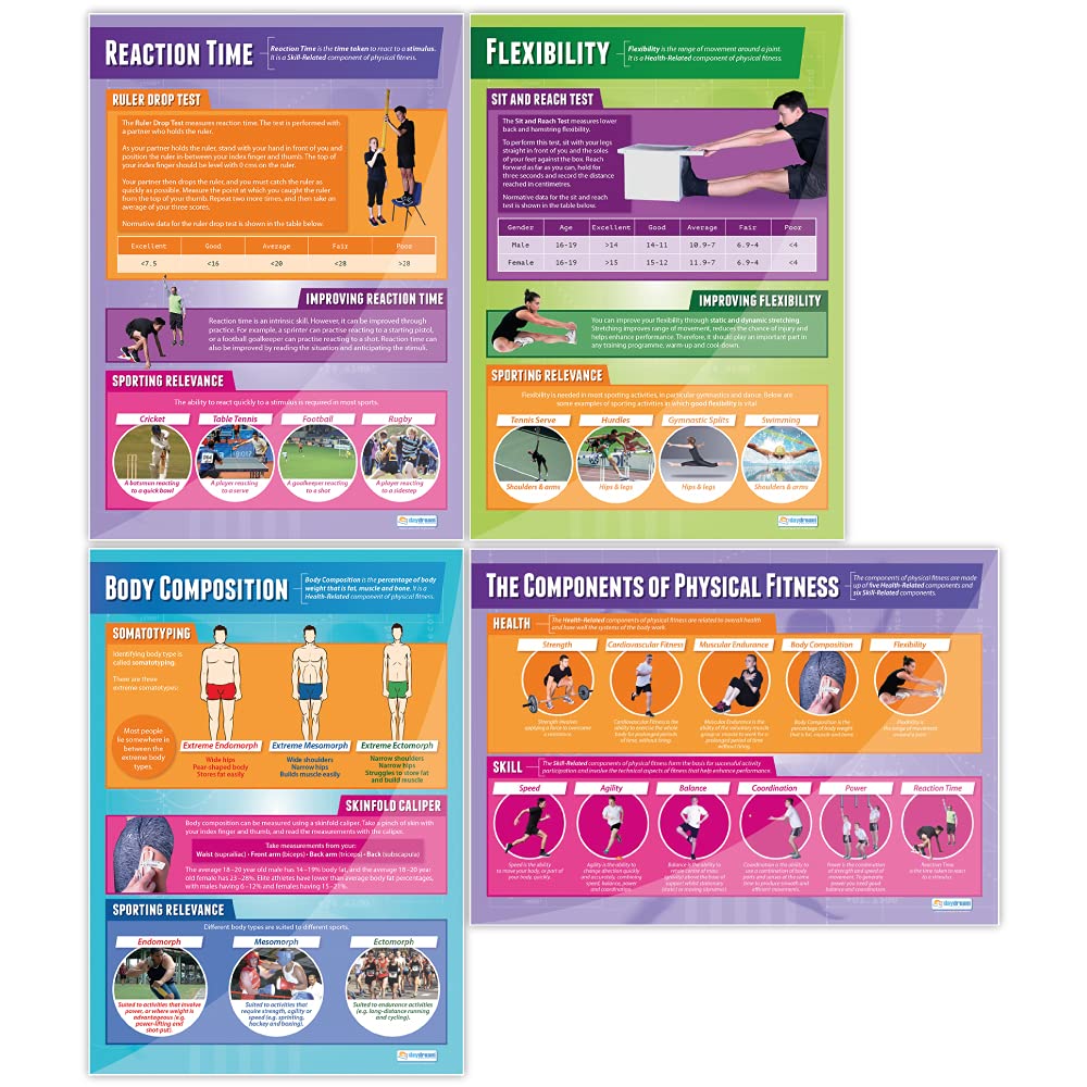 Daydream Education Components of Physical Fitness Posters - Set of 12 - EXTRA LARGE 33” x 23.5” - Gloss Paper - PE Classroom Decor for Middle & High School - Educational Wall Charts - Perfect for Gymnasiums, Fitness Centers & Home Workout Spaces