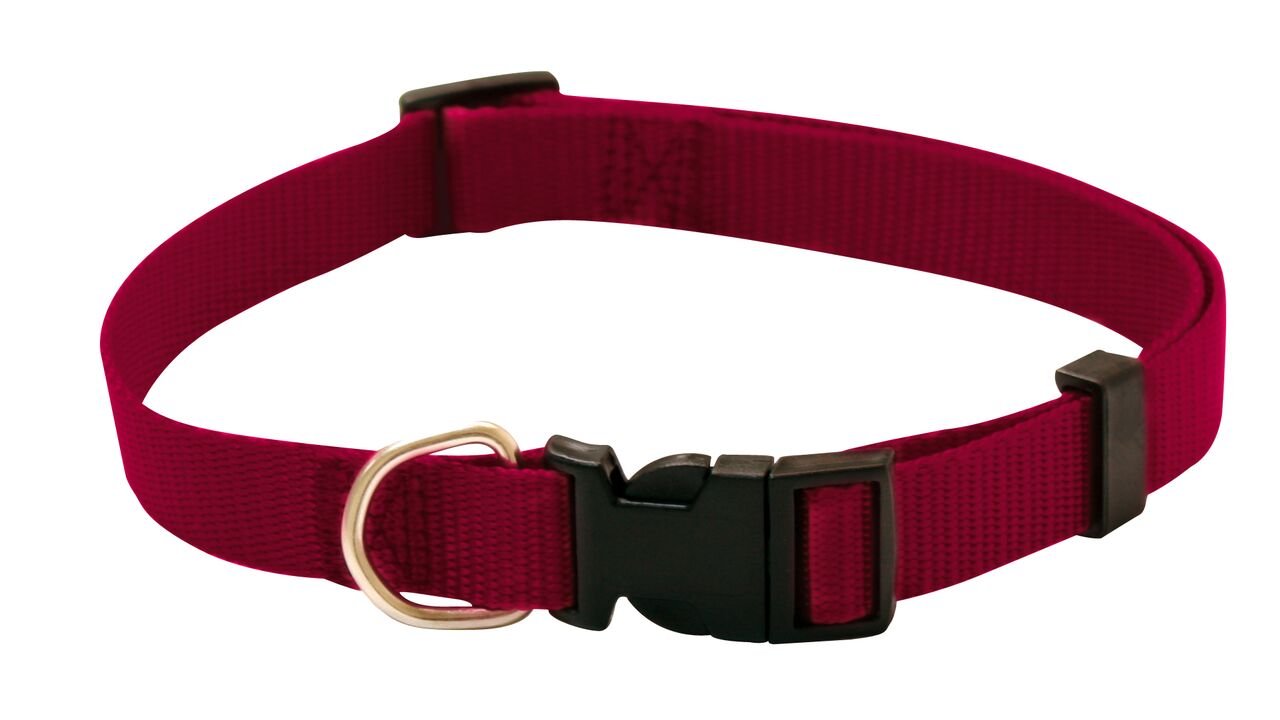Adjustable Nylon Dog Collar for Small Medium Dogs - 19mm Width, Red Pet Training Collar - Perfect for Daily Walks, Training & Outdoor Adventures
