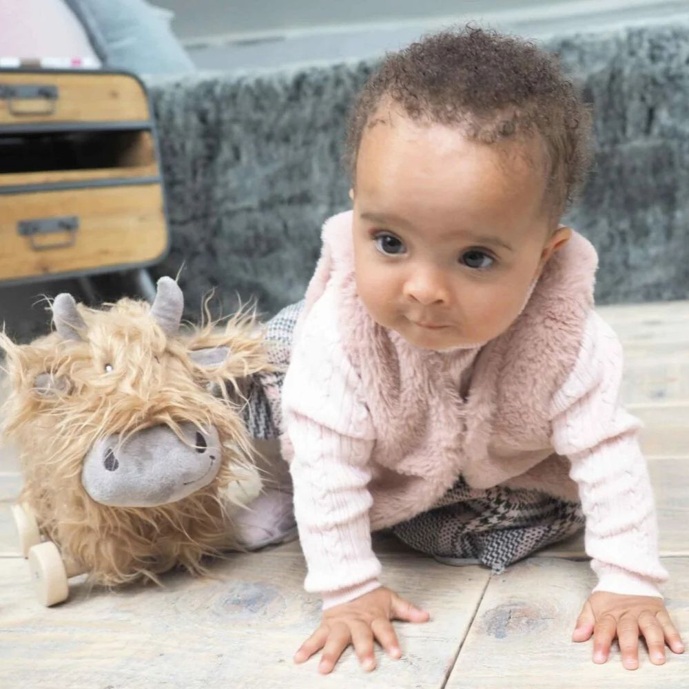 Highland Cow Pull Along Toy for Toddlers by Little Bird Told Me - Wooden Pull Toy for Kids Ages 1-3, Perfect for Early Learning & Playtime Fun
