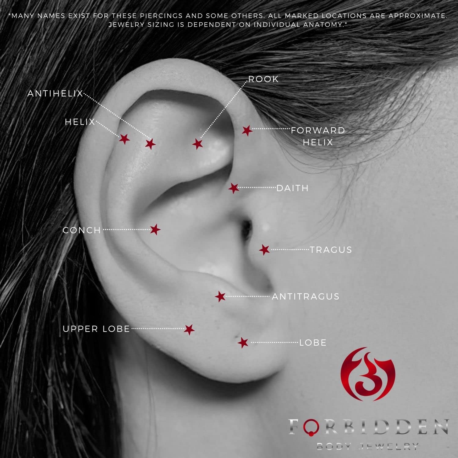 14g-16g Surgical Steel Tragus Earring, Helix Earring & Labret Piercing Stud with Ball Top - Body Jewelry for Cartilage, Lip & Nose Piercings - Perfect for Everyday Wear & Special Occasions