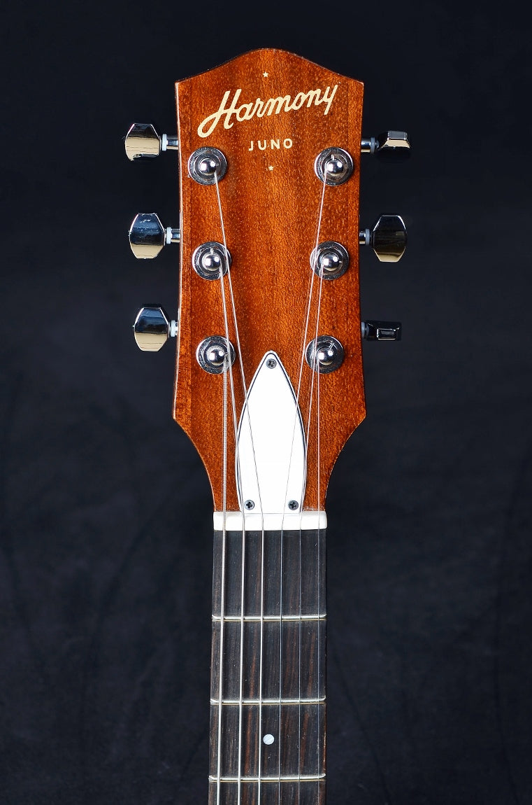 Harmony Juno Standard Rose - Premium Quality Rose for Gifting, Wedding Bouquets, and Home Decor