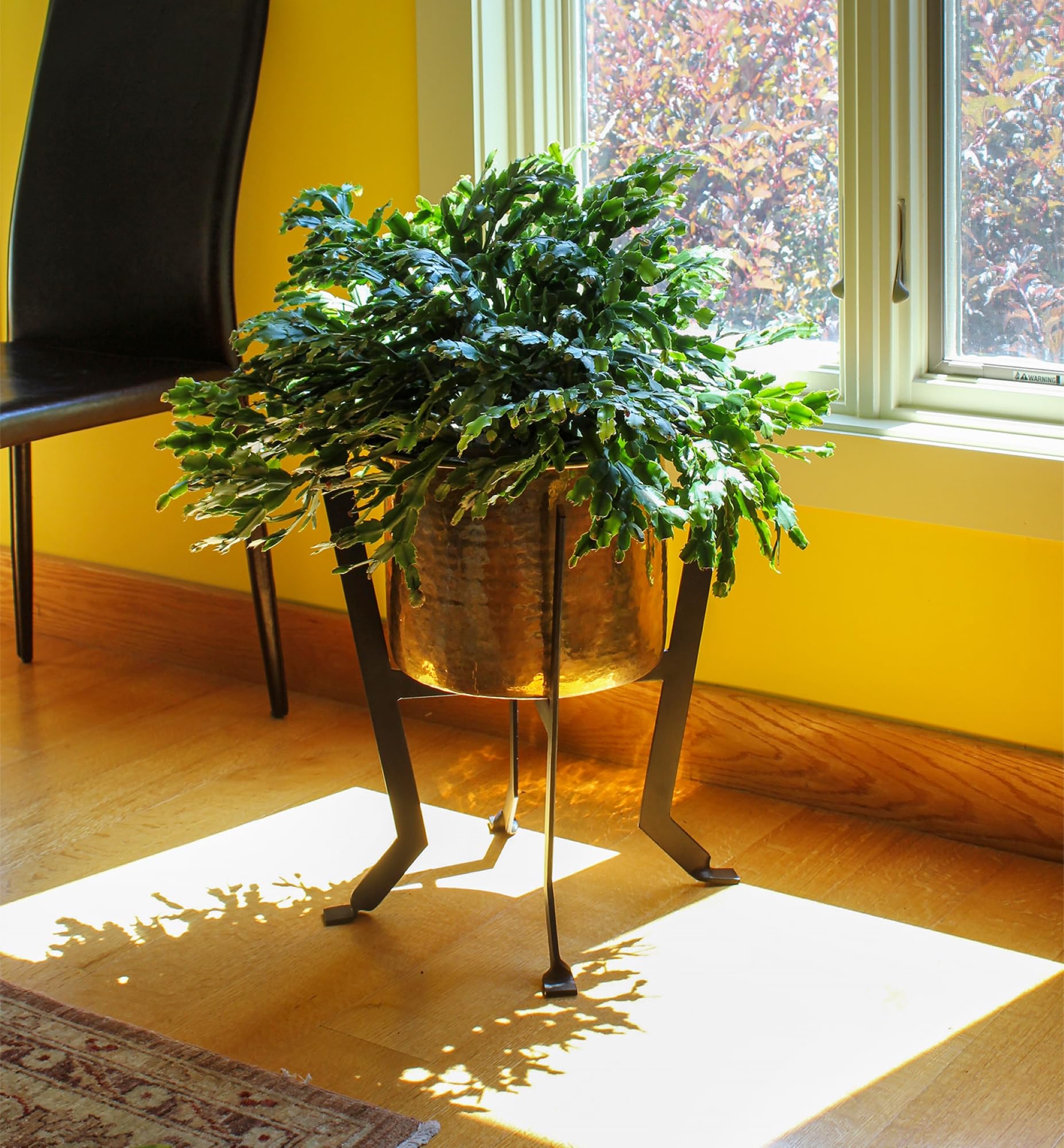 Achla Designs FB-60 Denise III Black Metal Plant Stand - Indoor/Outdoor Flower Pot Holder for Home Garden Decor