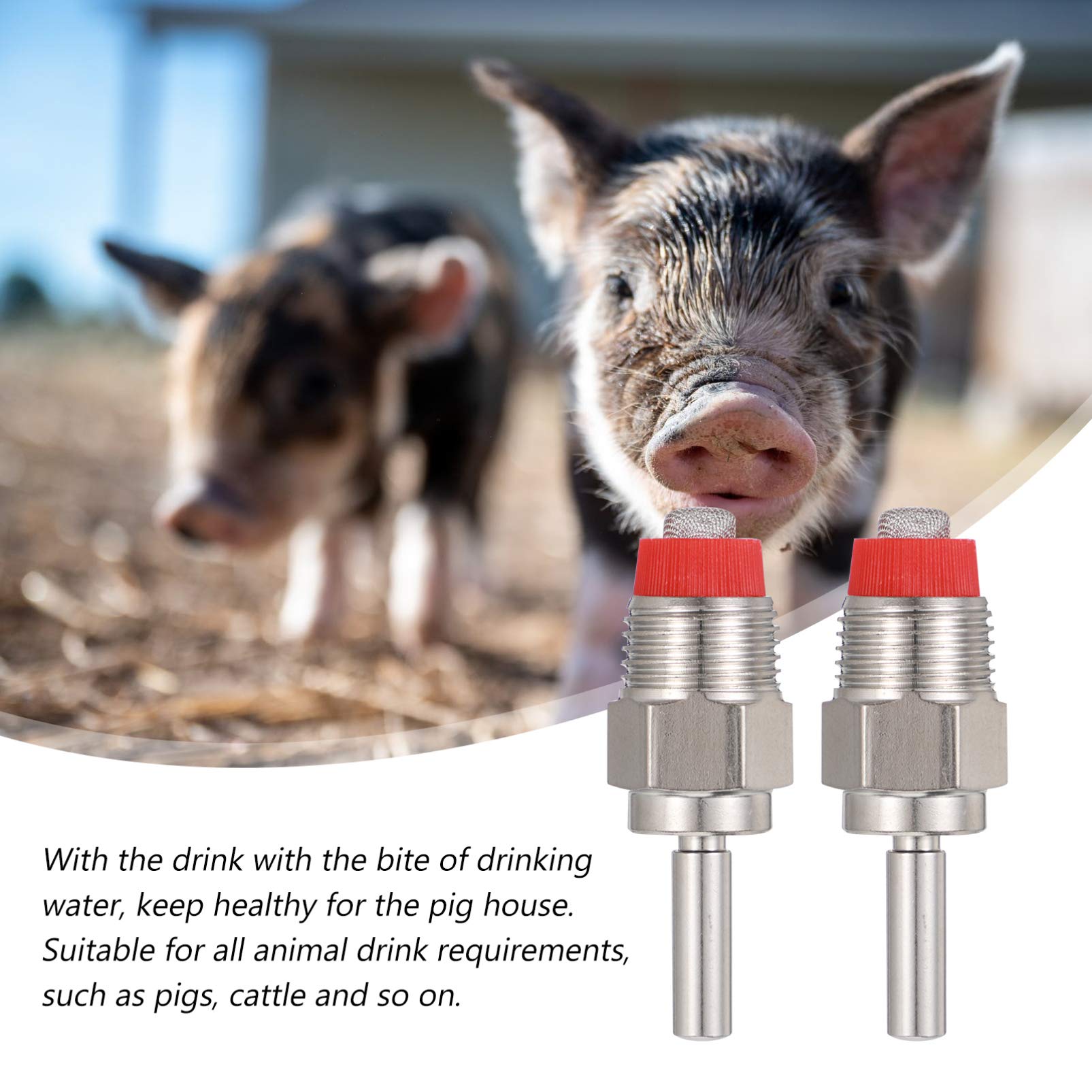 POPETPOP 5-Piece Stainless Steel Pig Drinking Spout Set - Pig Water Dispenser & Faucet for Livestock - Durable Pig Drinkers for Farms, Pig Pens, and Animal Hydration Systems