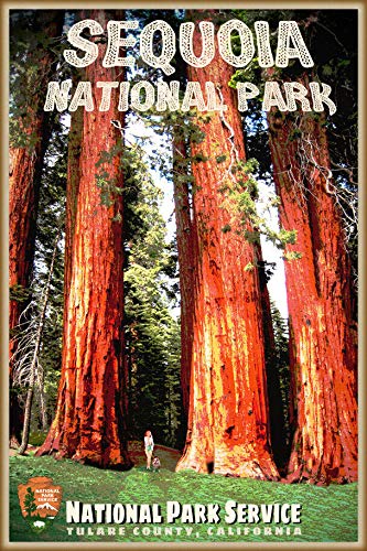 Sequoia National Park California Travel Poster - 24x36 Inch Wall Art Print for Home & Office Decor | Vintage Landscape Poster for Living Room, Bedroom, or Gift