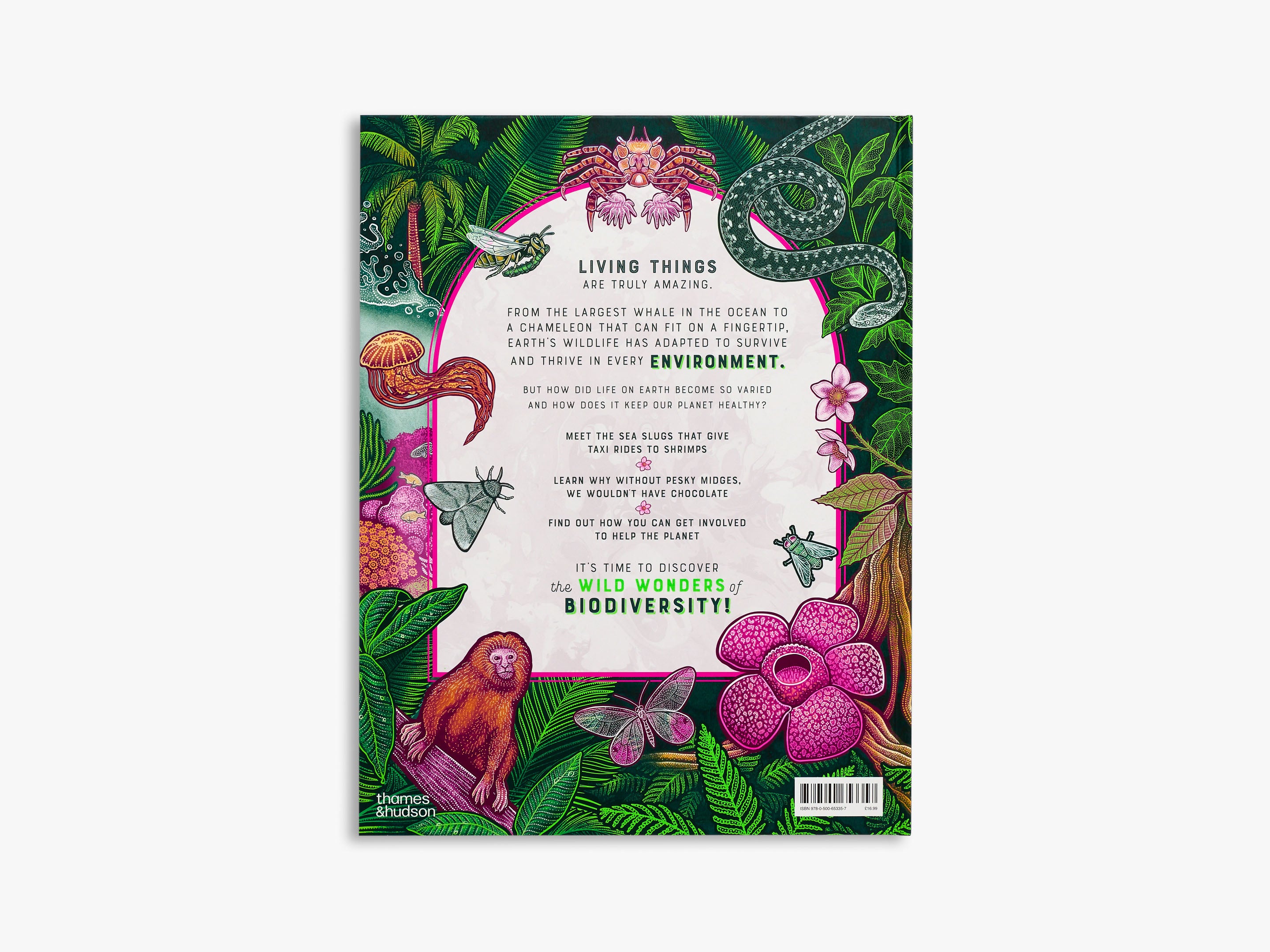 Life (Wild Wonders) - Explore Nature's Beauty | Perfect for Home Decor, Gifts & Wildlife Enthusiasts