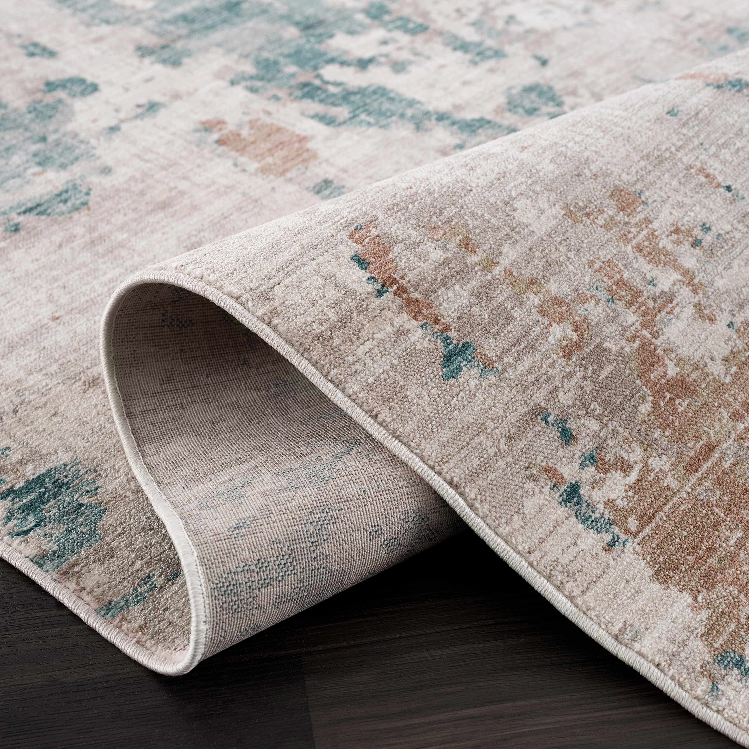 Hauteloom Danlugan Soft Area Rug for Living Room & Bedroom - 5'3