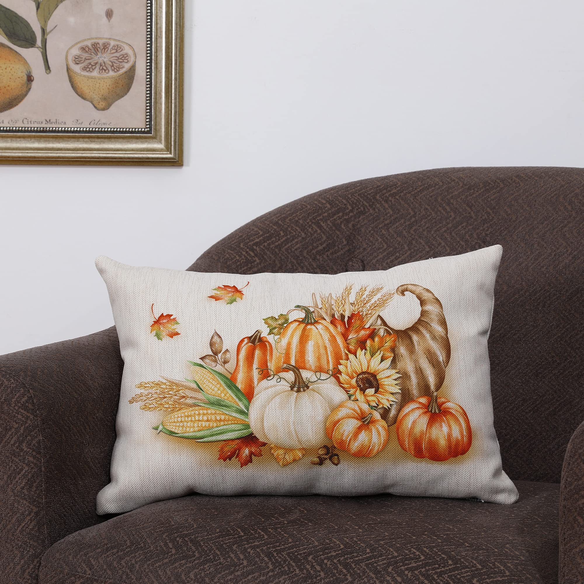 Thanksgiving Throw Pillow for Couch - 18