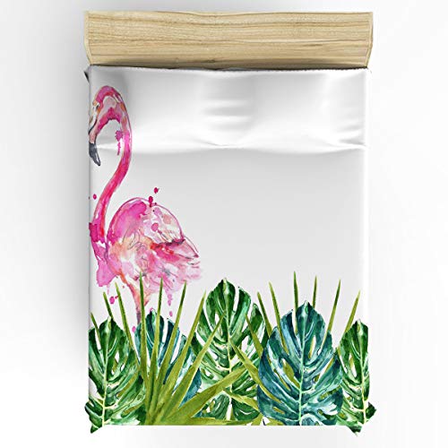 Flamingossr2257