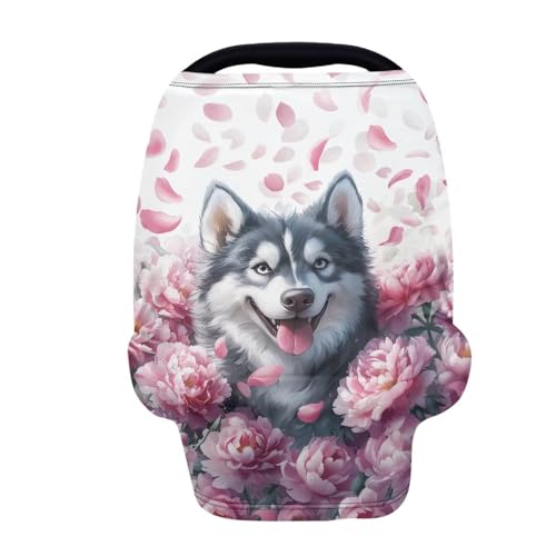 Siberian Husky