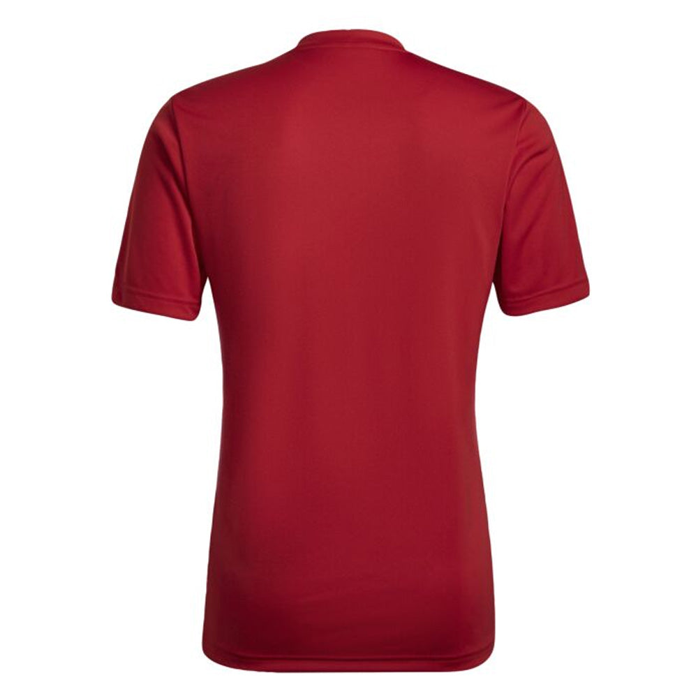 Adidas Youth Entrada 22 Graphic Jersey - Red/Red Soccer Shirt for Boys & Girls - Perfect for Training, Matches & Team Sports