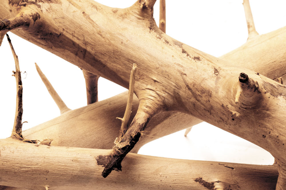 Premium Thorn Wood for DIY Crafts, Home Decor, and Woodworking Projects – Perfect for Rustic Furniture, Wall Art, and Handmade Gifts