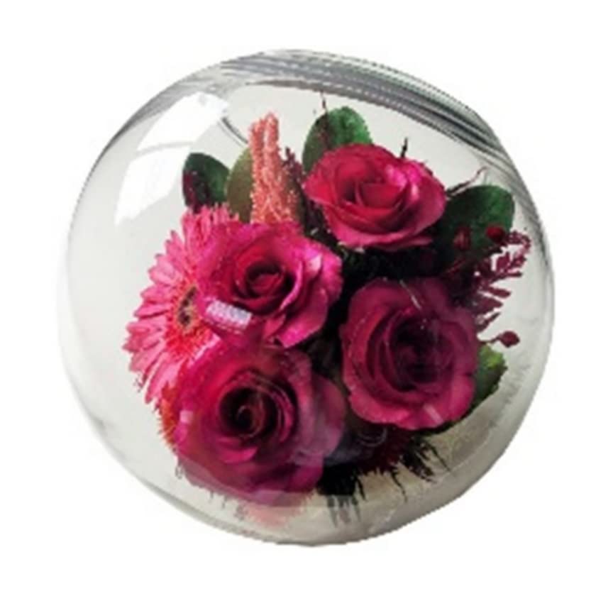 Fiora Flower | Real Preserved Roses & Orchids | Long-Lasting 5 Years | No Water Needed Home Decor | Allergy-Free & Odor-Resistant | Unique Gift for Anniversary, Wedding, Valentine's Day | Perfect for Centerpieces, Table Decor, and Romantic Gifts