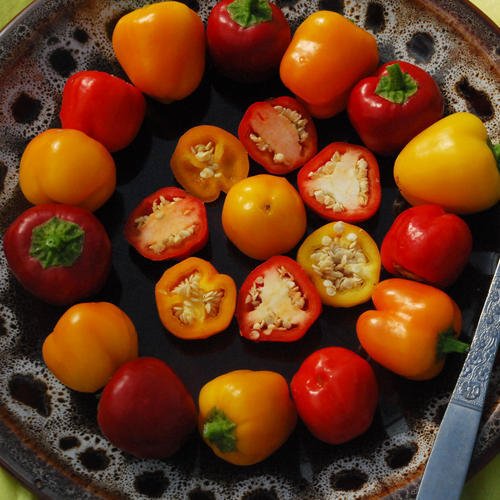 Mini Bell Pepper Seeds Mix - Sweet Colorful Peppers for Pots, Containers & Patio Gardens (10 Seeds) - Perfect for Salads, Snacking & Homegrown Organic Vegetables