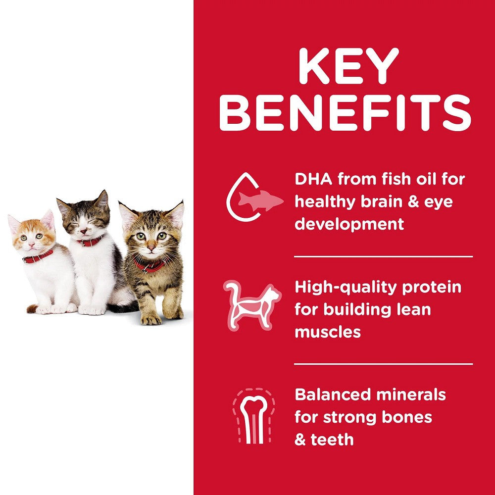 Science Diet Everyday Diet Chicken Recipe Dry Cat Food for Kittens - High Protein Kitten Food for Healthy Growth & Development | Perfect for Indoor & Outdoor Kittens