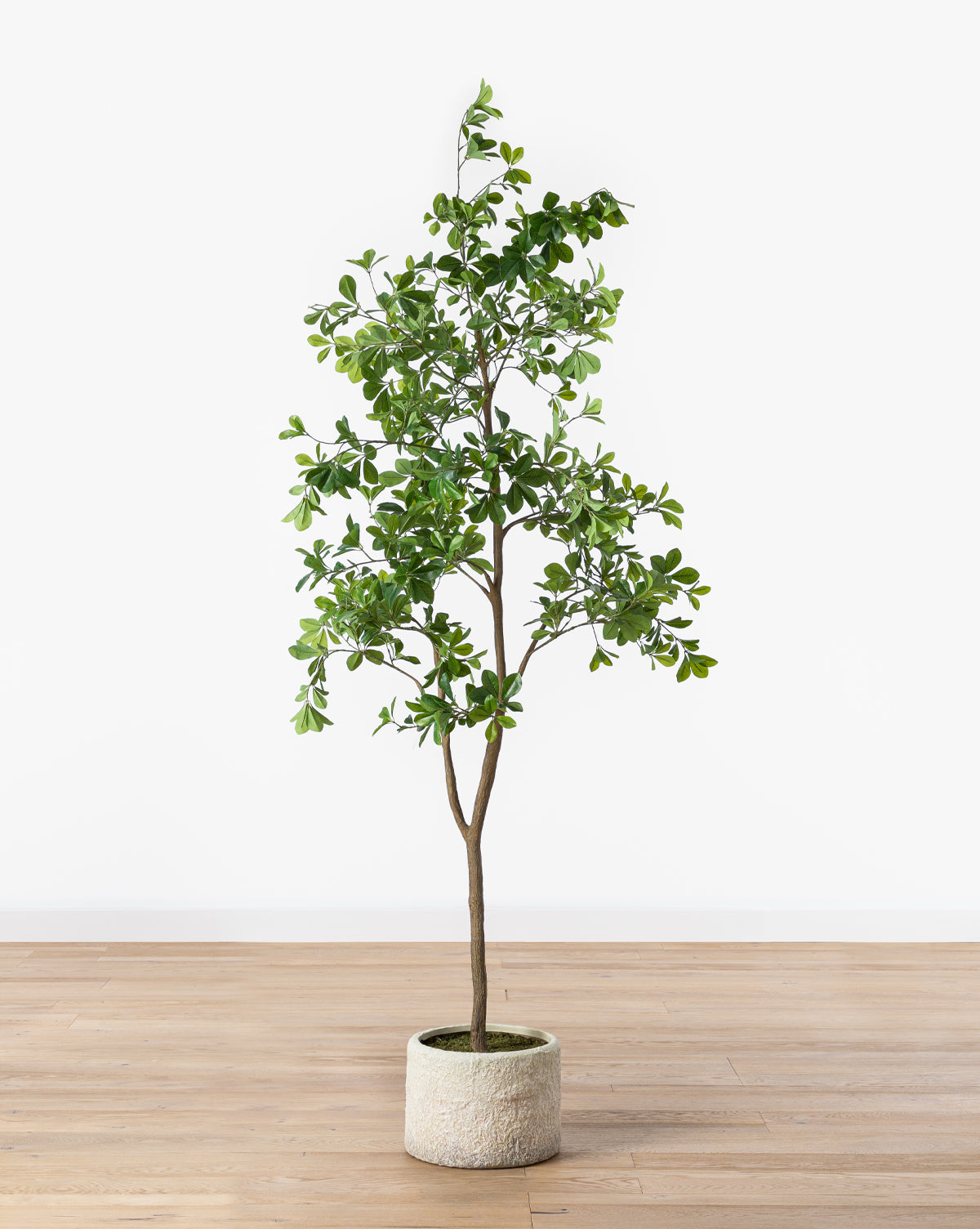Shady Lady Faux Tree - 6ft Artificial Fiddle Leaf Fig Tree for Home & Office Decor - Perfect for Living Room, Bedroom, or Indoor Plant Decorations