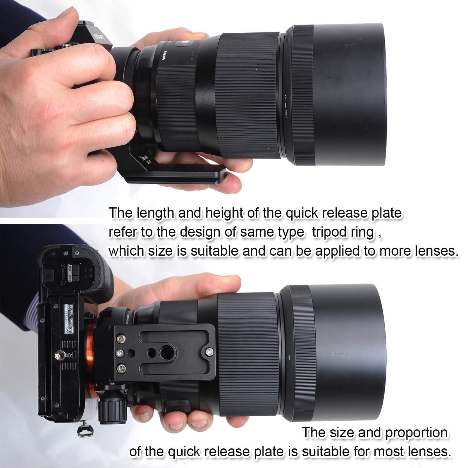 iShoot Tripod Mount Ring - All Metal Lens Collar Support Bracket for Sigma MC-11 Mount Converter (Canon EF-E Mount) | 61.5mm Lens Holder with Arca Swiss Quick Release Plate | Perfect for DSLR Photography, Videography & Travel Shooting