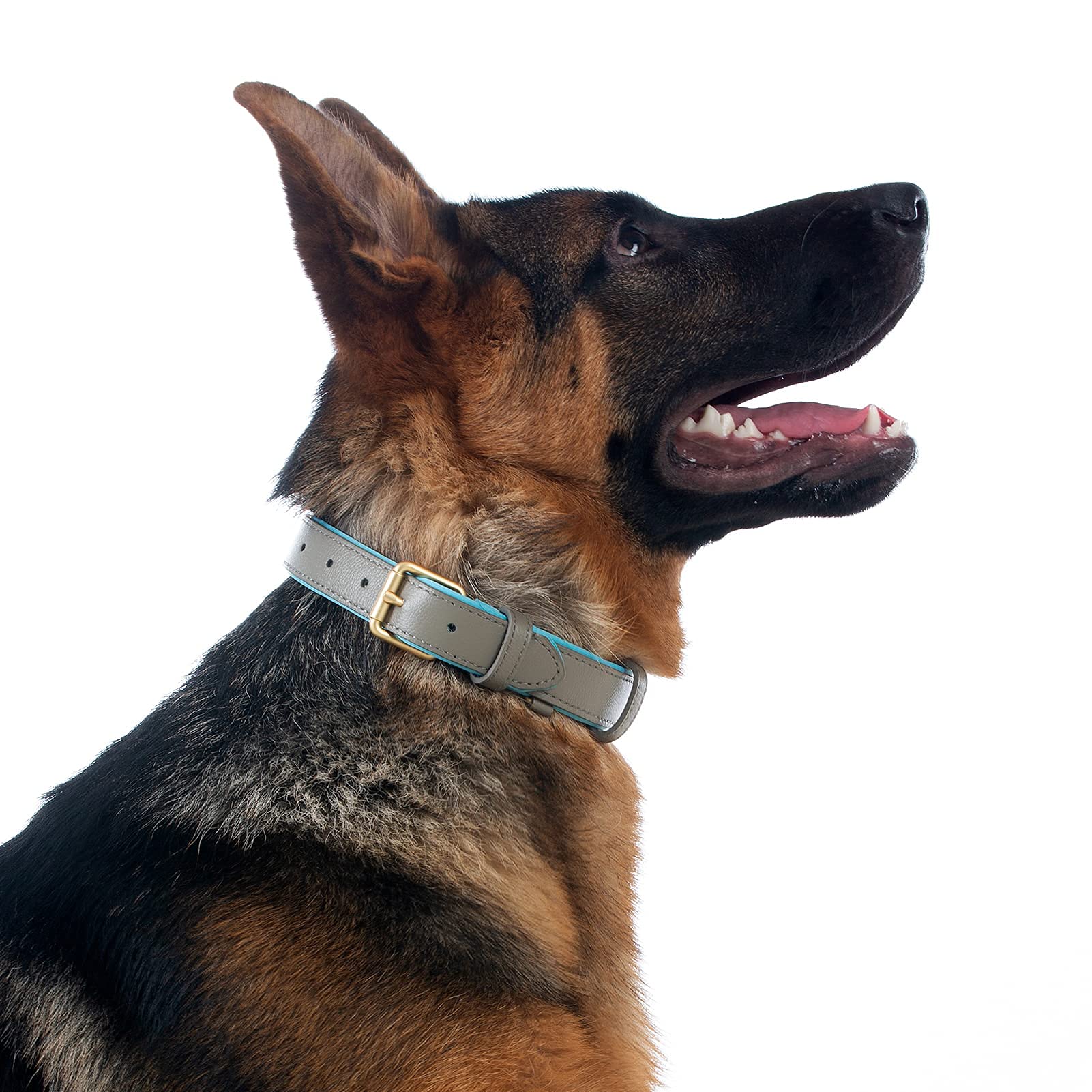 Premium Soft Padded Leather Dog Collar - Waterproof & Adjustable for Small, Medium & Large Dogs - Perfect for Daily Walks, Training & Outdoor Adventures