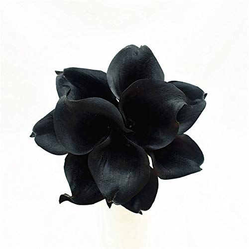 Navy Blue Picasso Calla Lilies - Real Touch Artificial Flowers for Wedding Bouquets, Centerpieces, Home Decor - Perfect for Wedding, Bridal Shower, and Event Decorations (Color: Black)