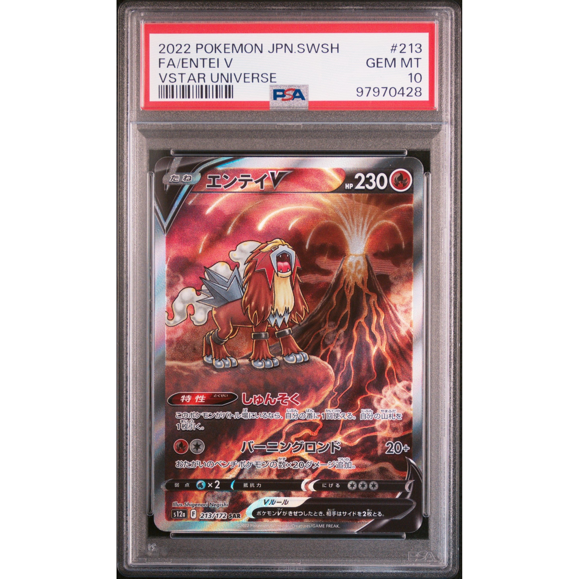 2022 Pokemon Japanese SWSH FA Entei V 213/172 PSA 10 Graded Card - Perfect for Collectors, Gaming & Investment