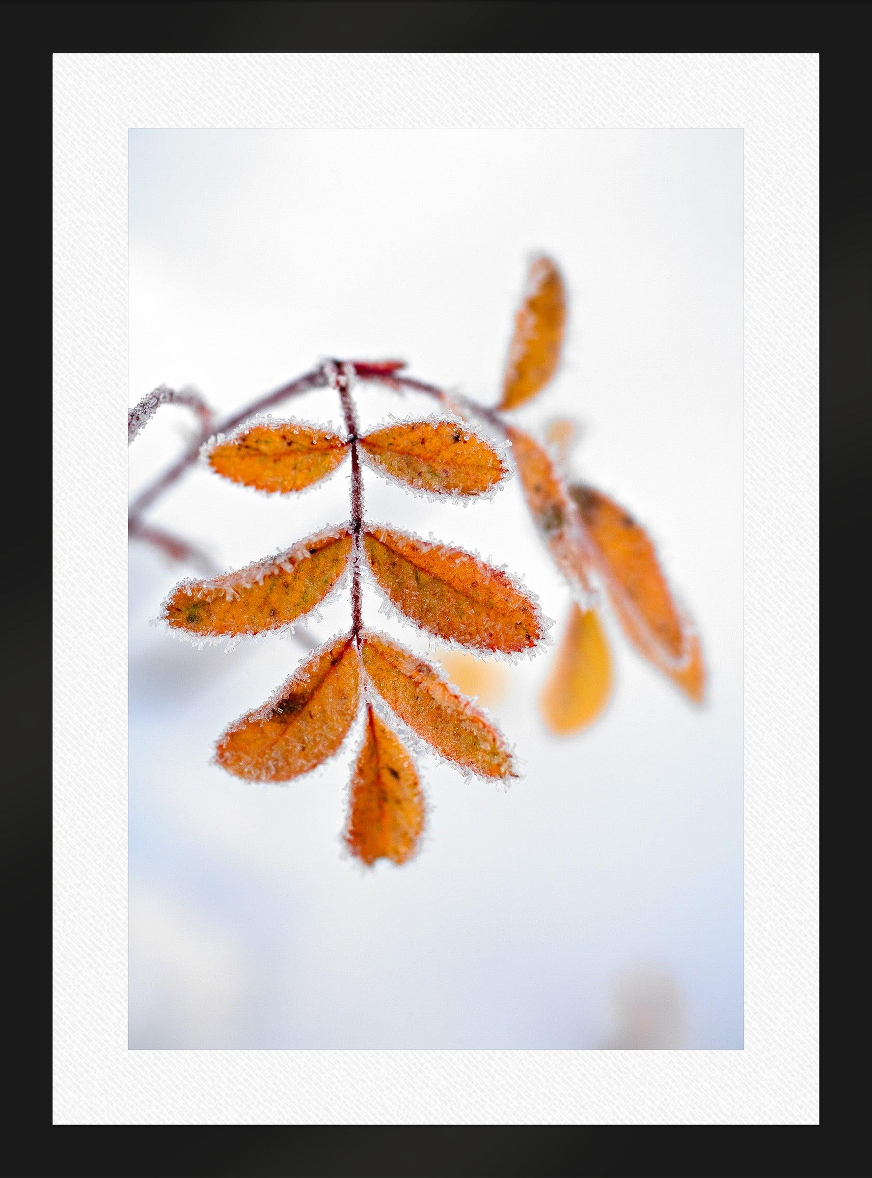 Simplicity - Minimalist Home Decor & Lifestyle Essentials for Modern Living - Perfect for Apartments, Offices & Cozy Spaces