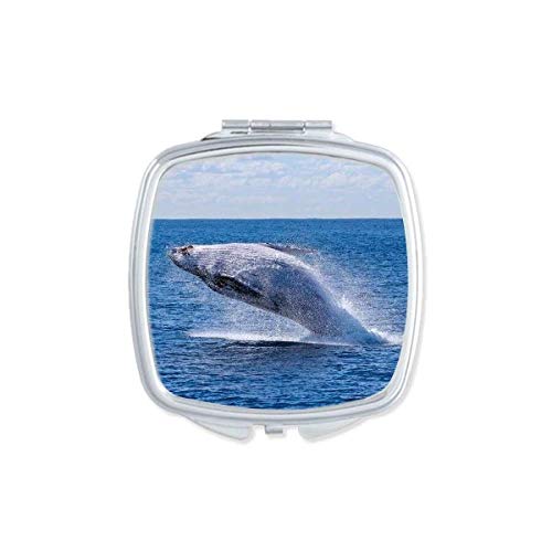 DIYthinker Double Sided Pocket Mirror with Ocean Humpback Whale Design - Compact Portable Makeup Mirror for Travel, Home Vanity & Gift Giving