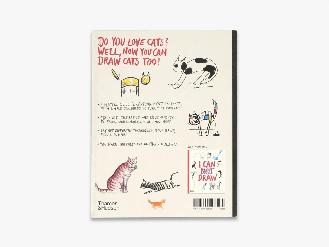 Learn How to Draw Cats - Step-by-Step Drawing Guide for Beginners | Perfect for Kids, Artists & Cat Lovers | Home, School & Creative Activities