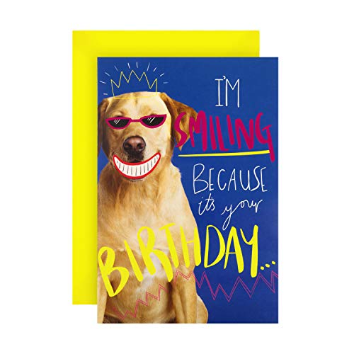 Funny Smiling Dog Photo