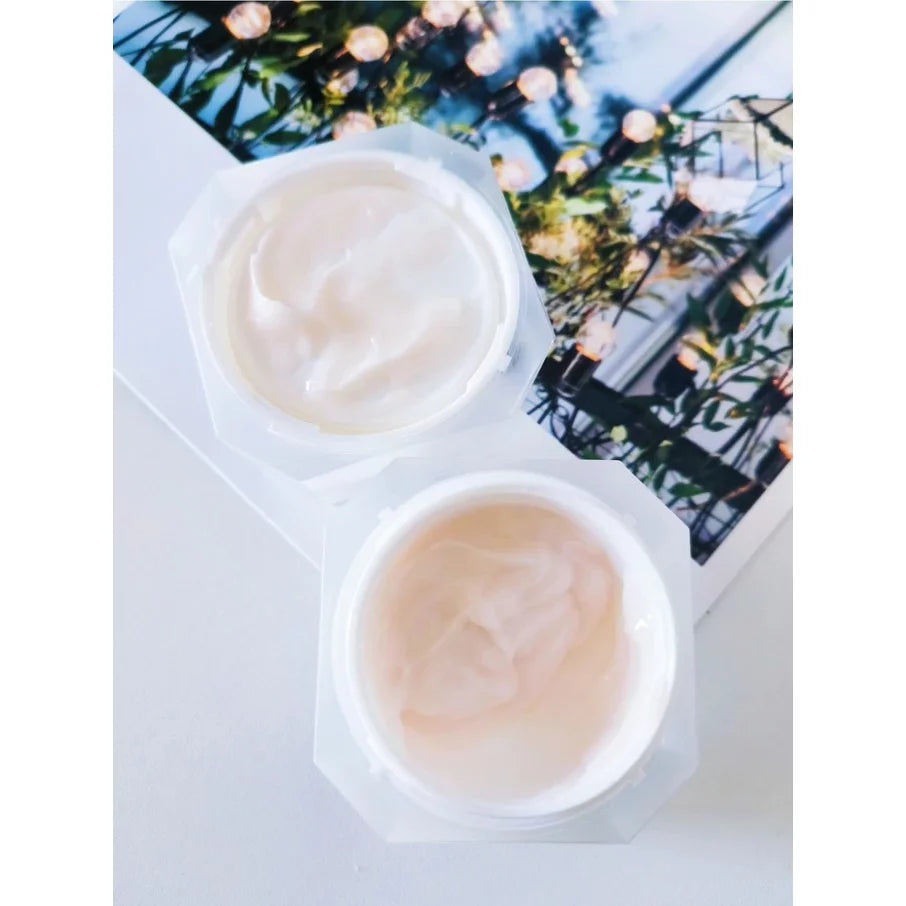 Axxzia Beauty Force Moist Rich Cream - Luxurious Hydrating Face Cream 30g for Dry Skin | Anti-Aging & Deep Moisturizing | Day & Night Skincare Routine