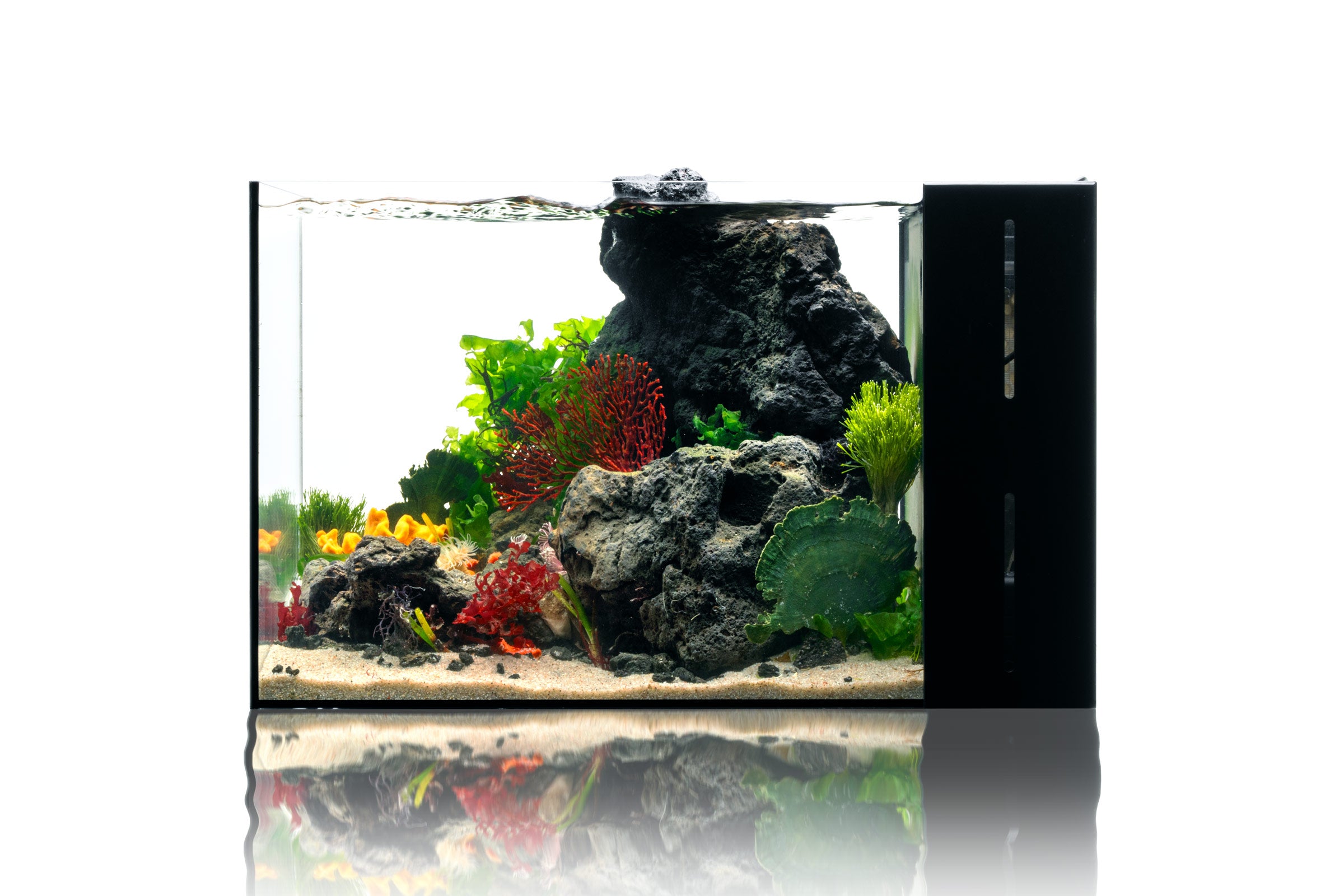 Premium UNS Dual All-in-One Glass Aquarium Tank - 5 Gallon Nano Fish Tank with Built-in Filtration System - Perfect for Home, Office, or Classroom Aquascaping and Small Fish Keeping
