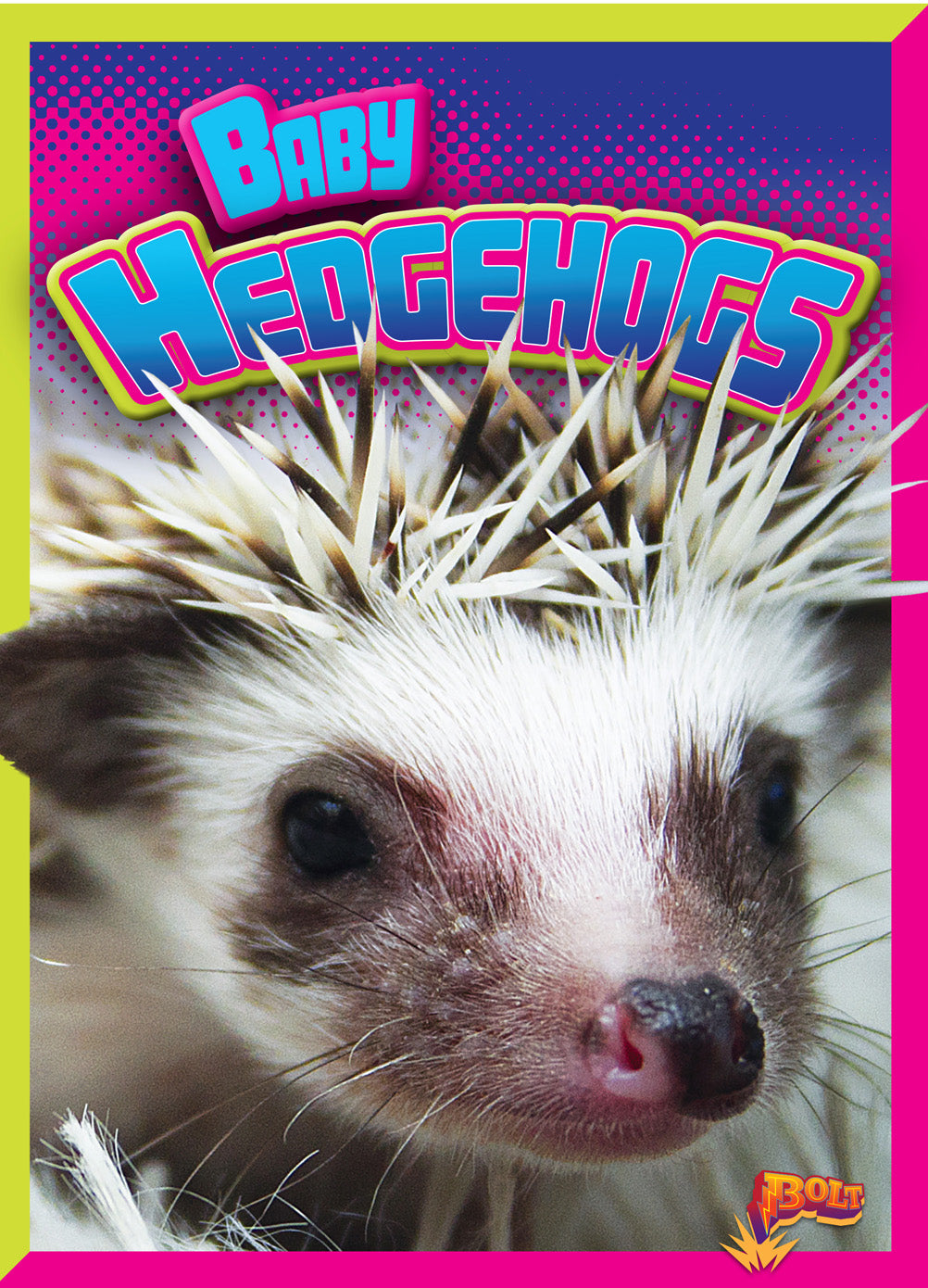 Adorable Baby Hedgehogs - 9781680723953 | Cute Pet Hedgehogs for Kids & Families | Perfect for Home, Classroom & Gifts