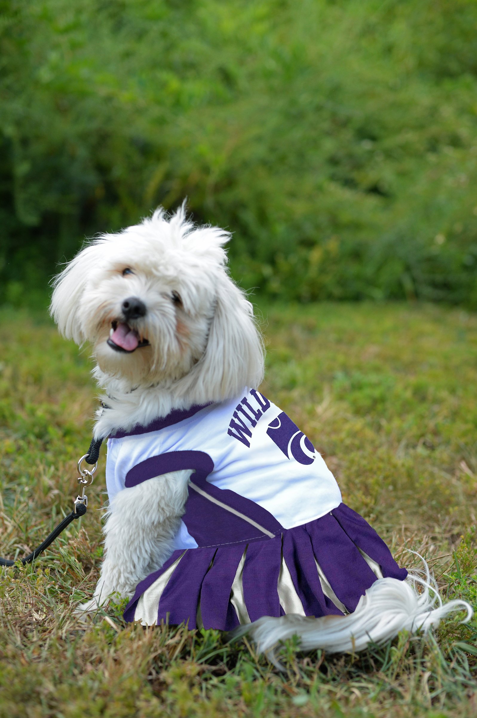 NCAA Kansas State Wildcats Dog Cheerleader Outfit for Small Dogs - Pet Costume for Game Day & Team Spirit