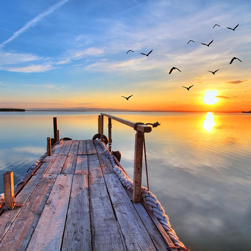 Dock of the Bay