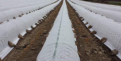 4-Year 6 Mil Clear Greenhouse Plastic Film Cover - 28ft x 55ft Durable Polyethylene for Plant Protection - Ideal for Backyard Gardens, Commercial Greenhouses & Hydroponic Systems